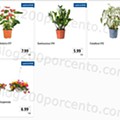 01 Promoções-Descontos-44562.jpg